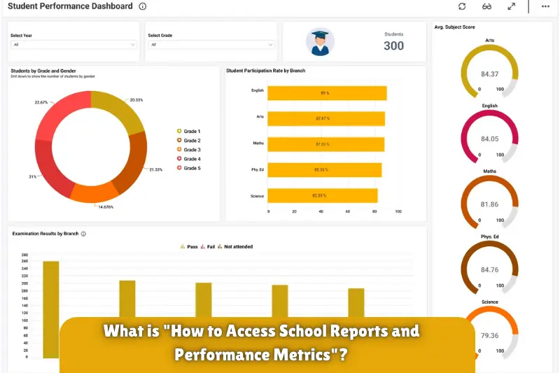 what is how to access school reports and performance metrics